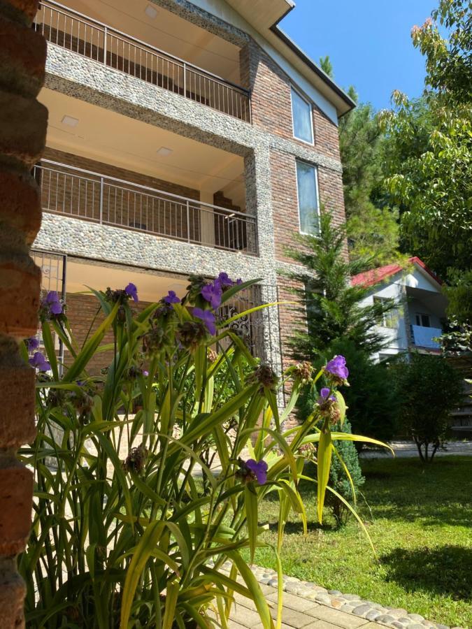 Guest House Shekvetili Ngoại thất bức ảnh