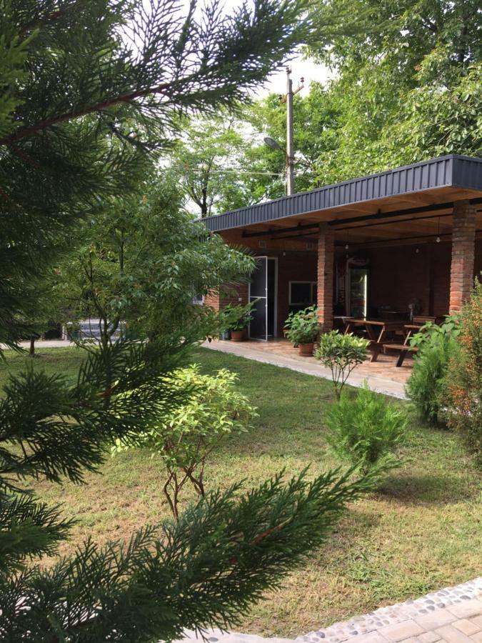 Guest House Shekvetili Ngoại thất bức ảnh